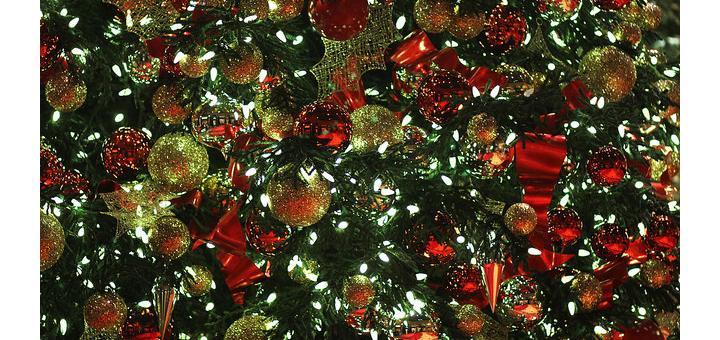 Christmas tree at the Bellagio, Las Vegas, by Scott Ellis.