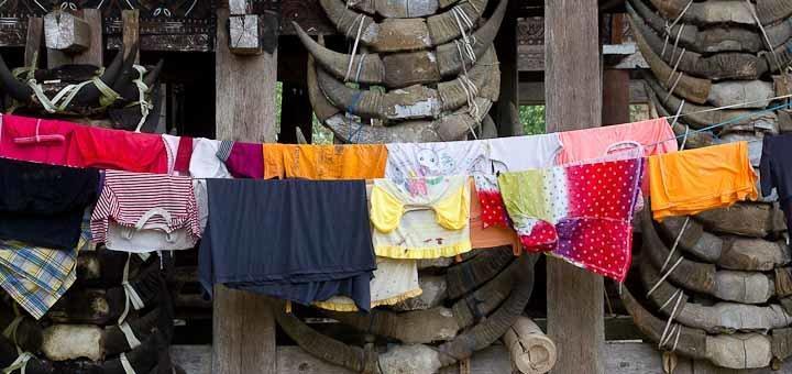 Laundry hanging out to dry in front of buffalo skulls, Toraja, Indonesia.