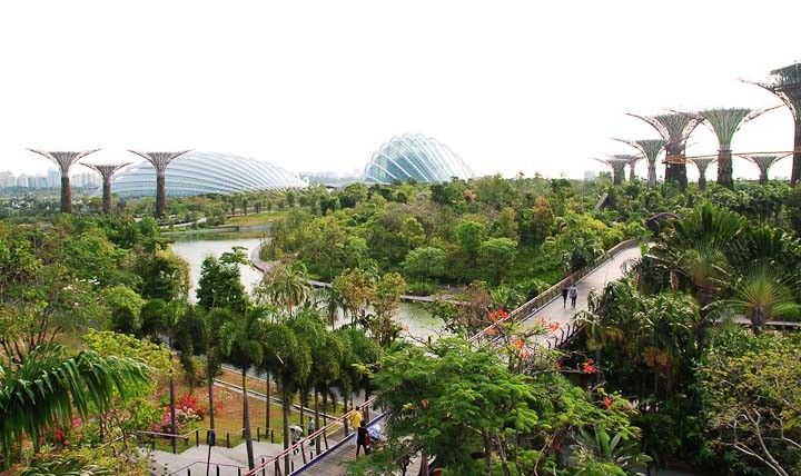 The Gardens by the Bay, complete with bizarre trees.