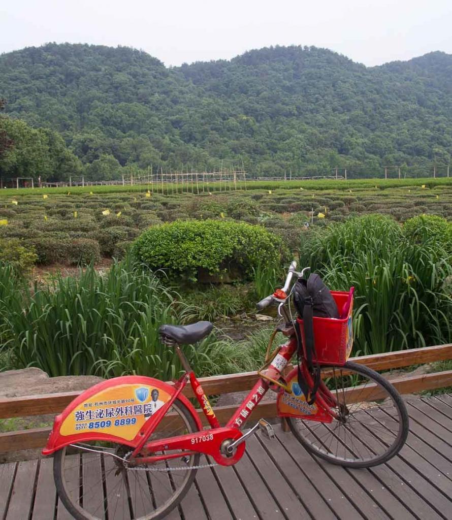 Bicycle in the tea plantations around Hangzhou West Lake.