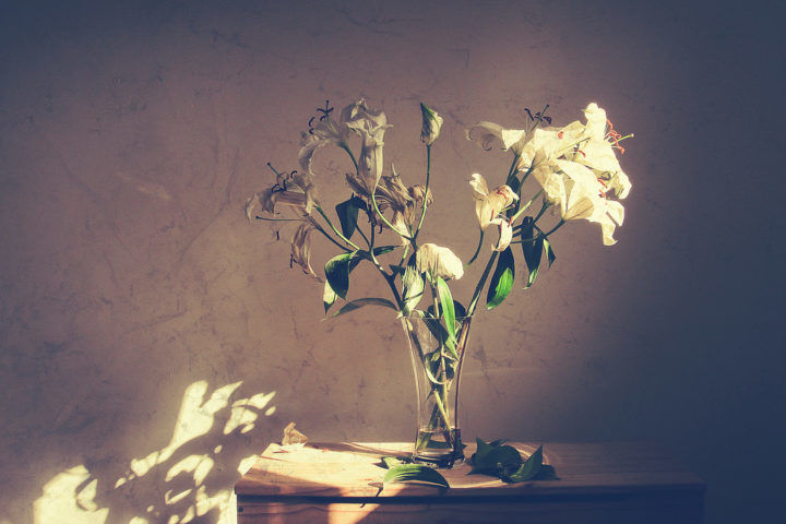 Lilies - half fresh, half aged, in a glass vase.