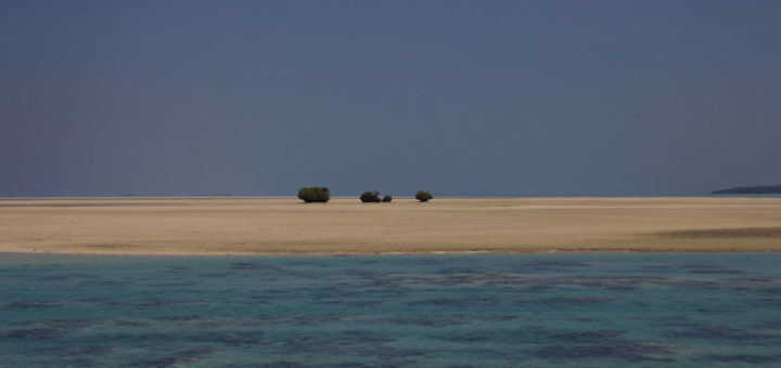 Golden sand islet in the Derawans, Indonesian Borneo.
