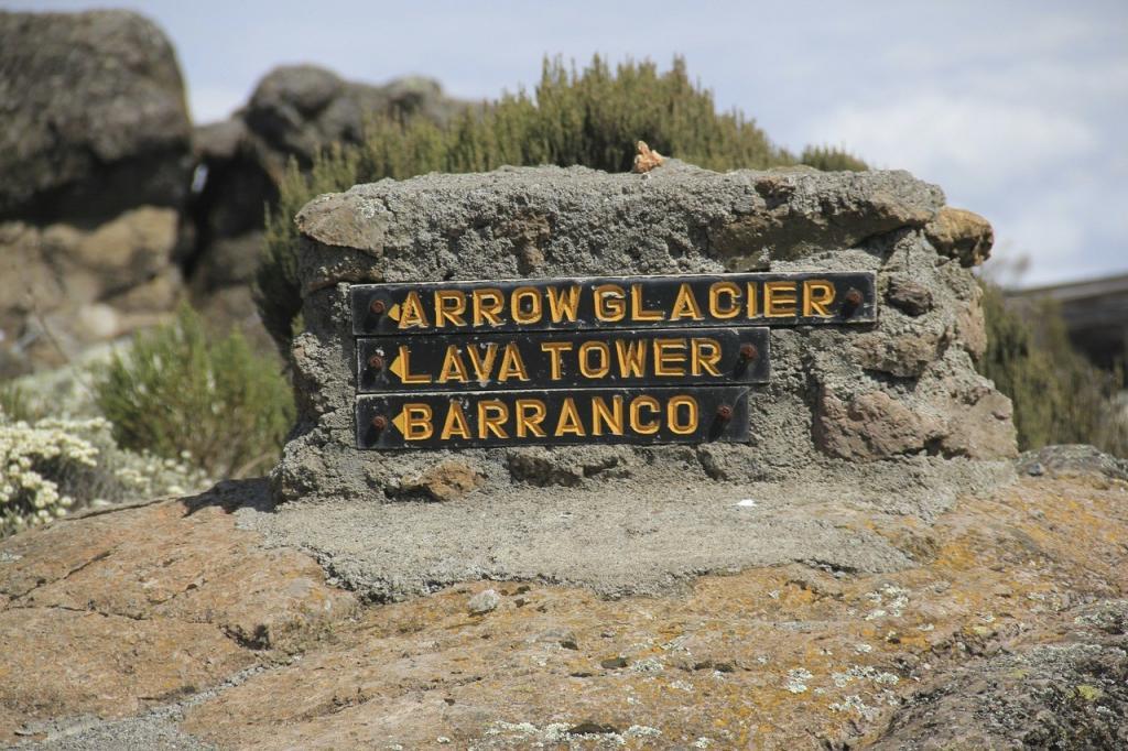 Signpost on the Kilimanjaro trail.