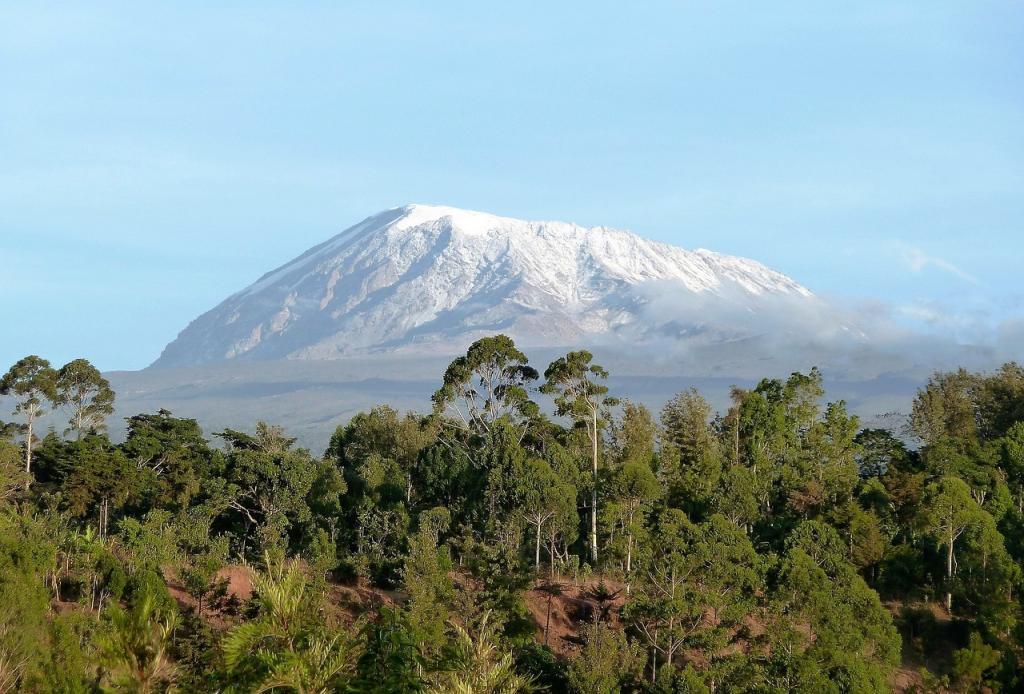 Kilimanjaro seen through rainforest.