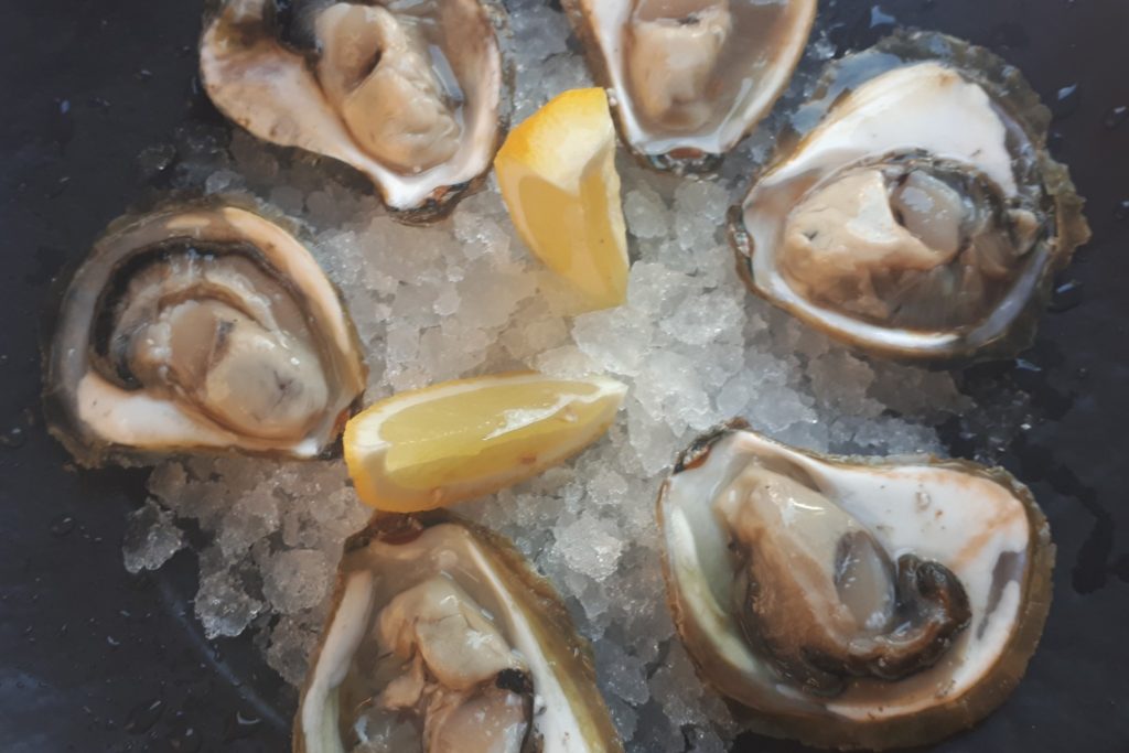 Mali ston oysters on the half shell with ice and lemon