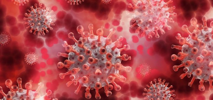graphic of the coronavirus